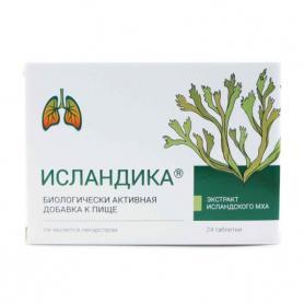 БАД ИСЛАНДИКА, 24 тб